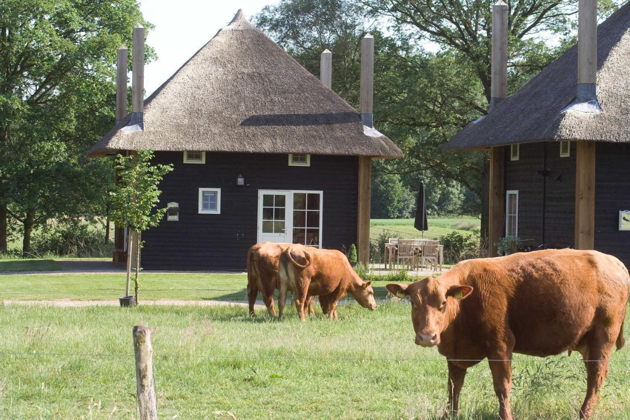 Erve Woolderink Villa Wierden Exterior foto